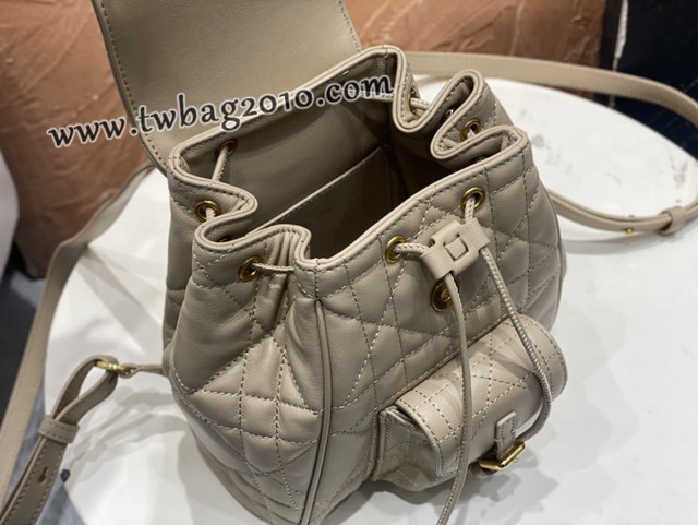 Dior专柜2025早春新款迪奥高仿原单小号Caro双肩背包女士后背包 djfk1818